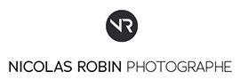 logo nico robin