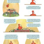 007 TROUBLE_DE_L_ORALITE